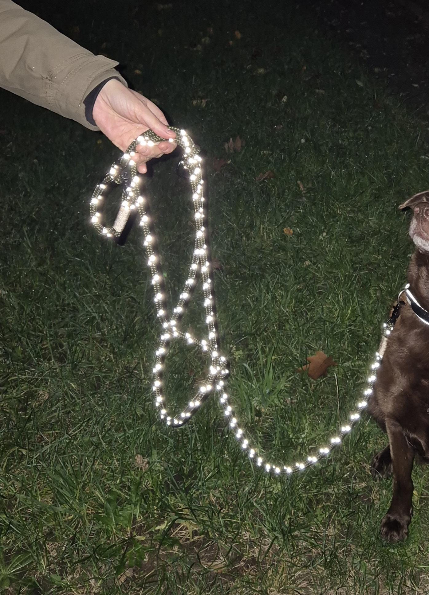 Reflective rope towline for dogs with | TOWLE REFLECTS
