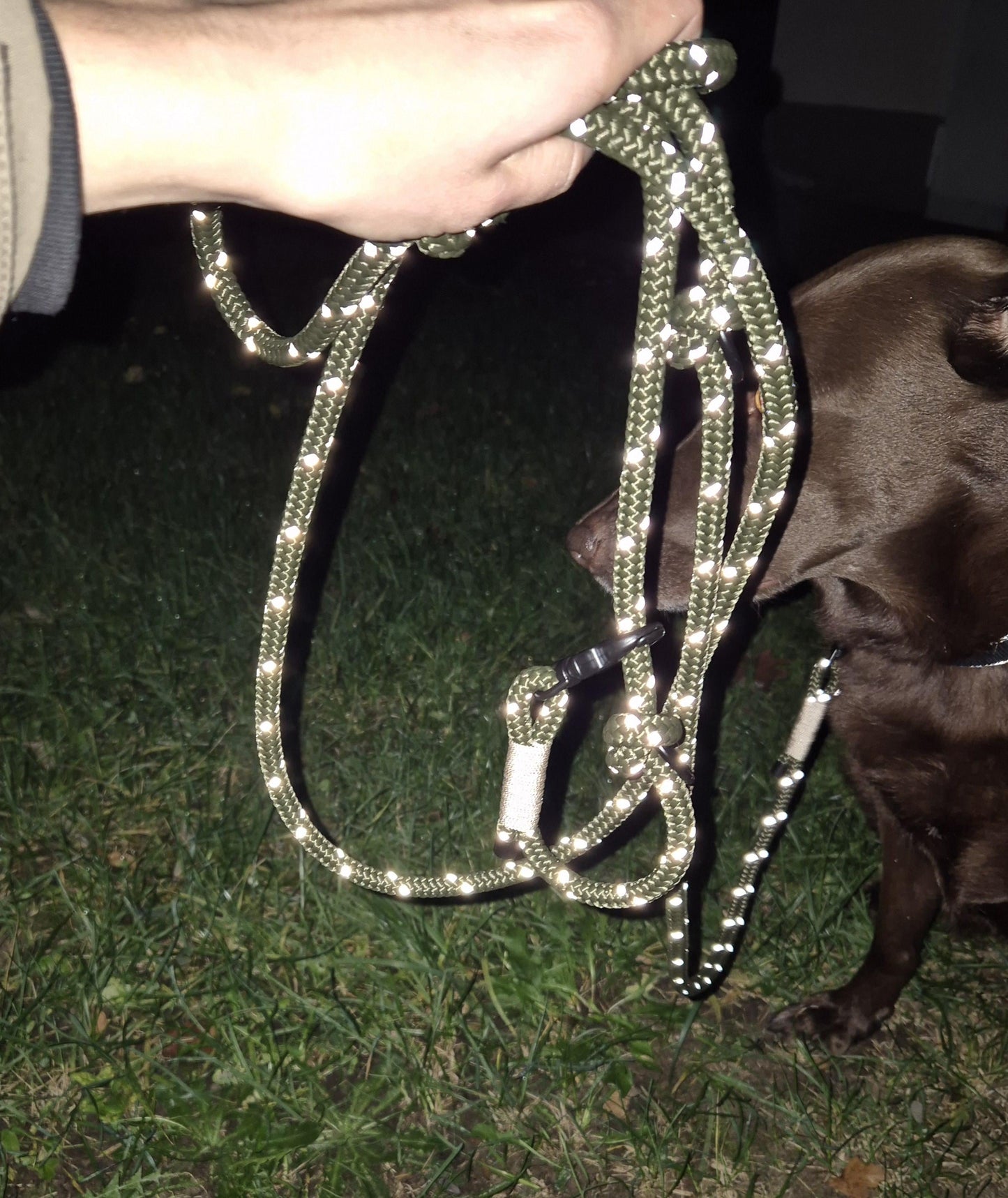 Reflective rope towline for dogs with | TOWLE REFLECTS
