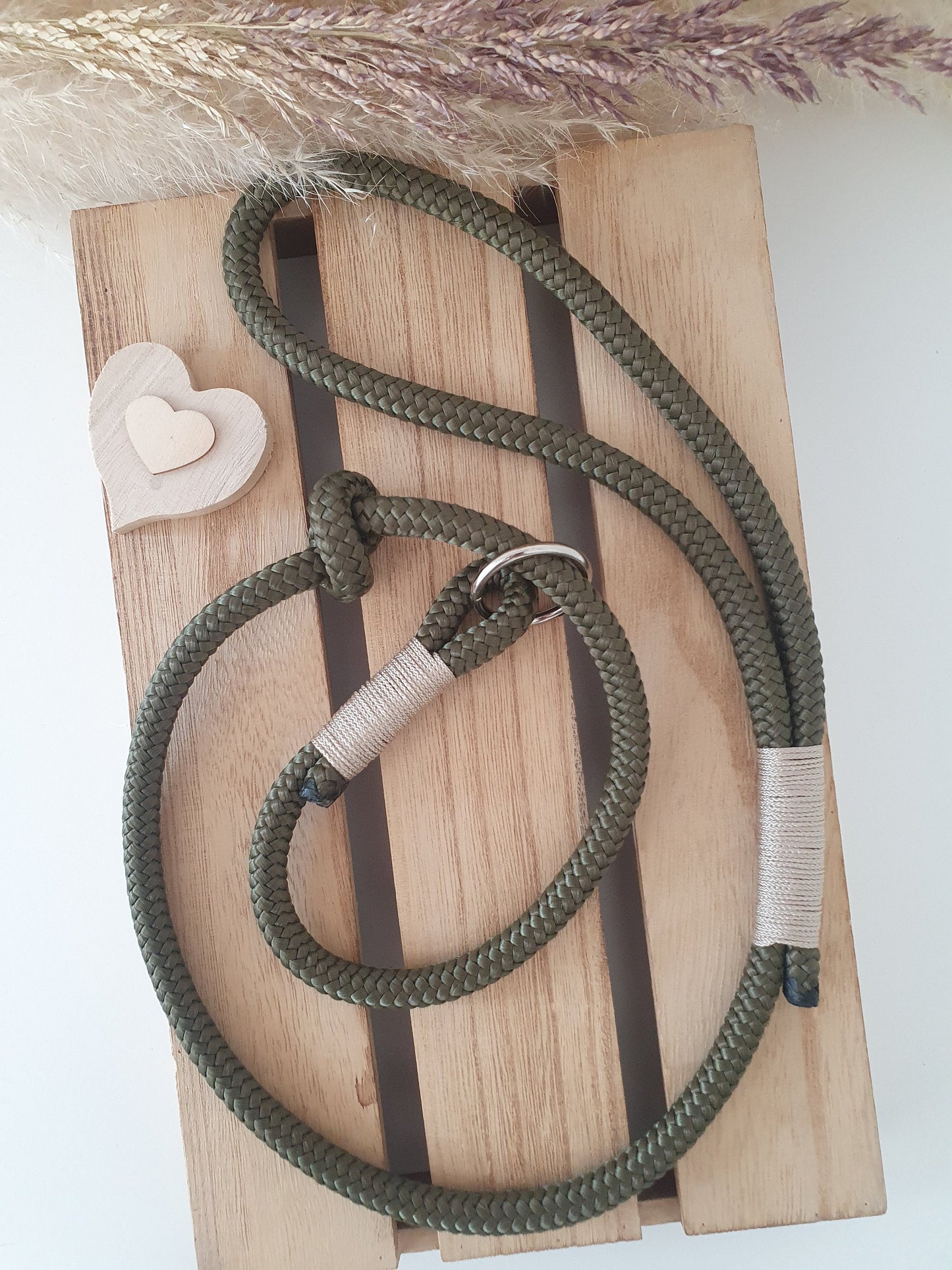 Dog set leash + dog whistle